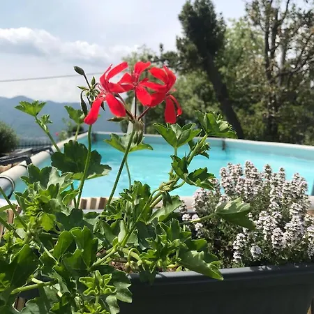 Le Vignole Appartement Ameno