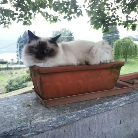 Le Vignole Appartement *