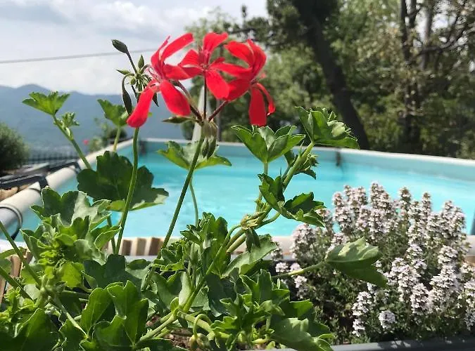 Le Vignole Apartment Ameno