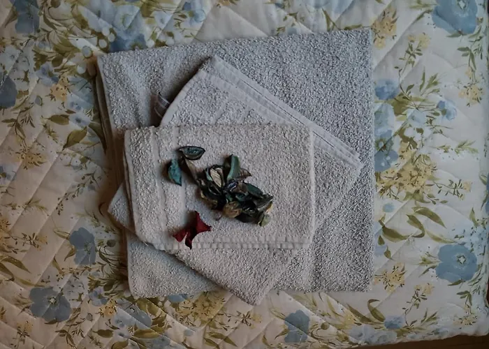 Le Vignole Apartment *